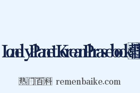 LonelyPlanetKoreanPhrasebook韩国语是什么意思的图片